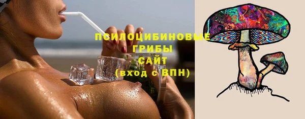 МДПВ Алексеевка