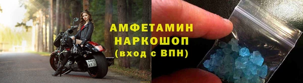 СК Алексин