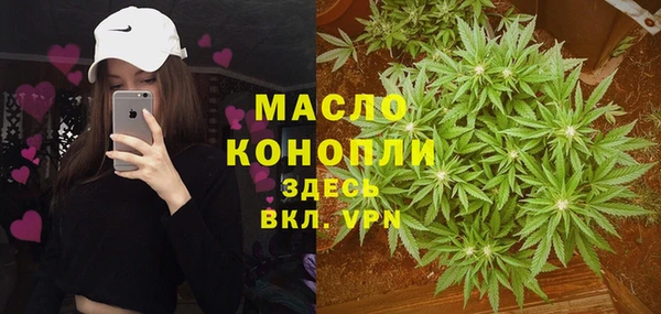 СК Алексин