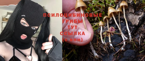 МДПВ Алексеевка