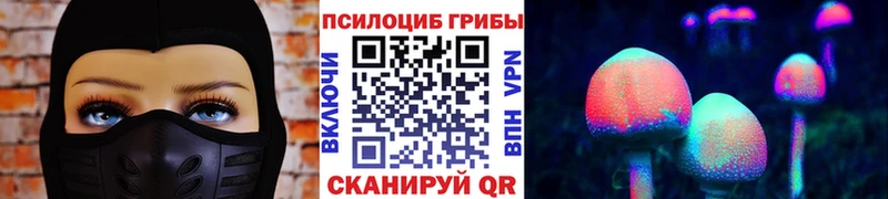 купить сайты Апатиты Псилоцибиновые грибы ЛСД